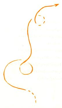 fly scan-cropped2 smaller2